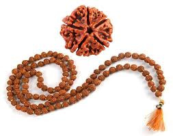 Rudraksha & Beads